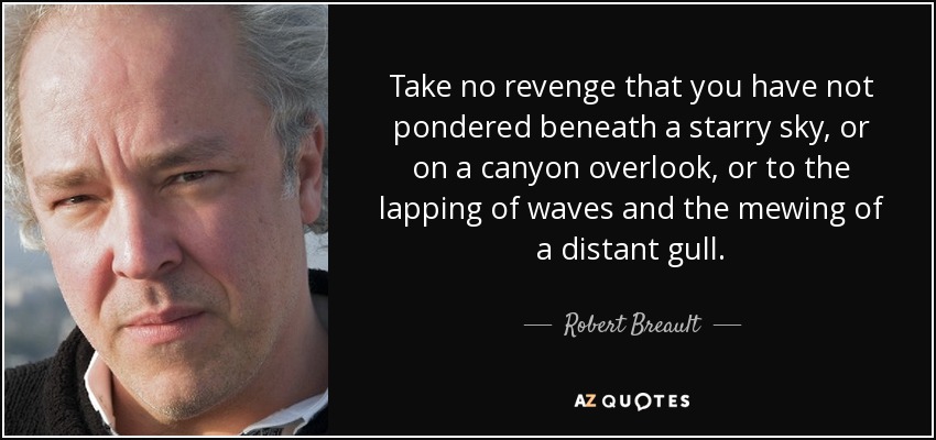 Take no revenge that you have not pondered beneath a starry sky, or on a canyon overlook, or to the lapping of waves and the mewing of a distant gull. - Robert Breault
