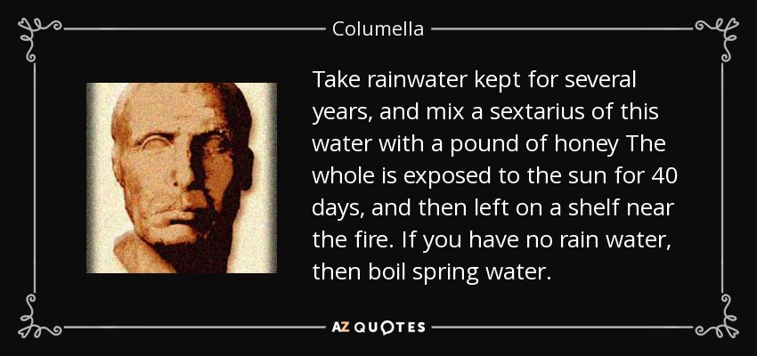 Take rainwater kept for several years, and mix a sextarius of this water with a pound of honey The whole is exposed to the sun for 40 days, and then left on a shelf near the fire. If you have no rain water, then boil spring water. - Columella
