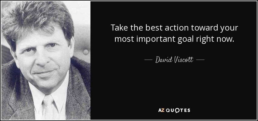 Take the best action toward your most important goal right now. - David Viscott