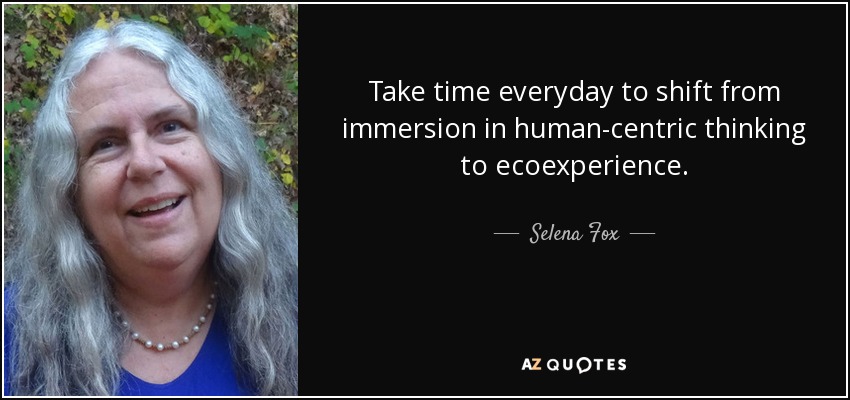 Take time everyday to shift from immersion in human-centric thinking to ecoexperience. - Selena Fox