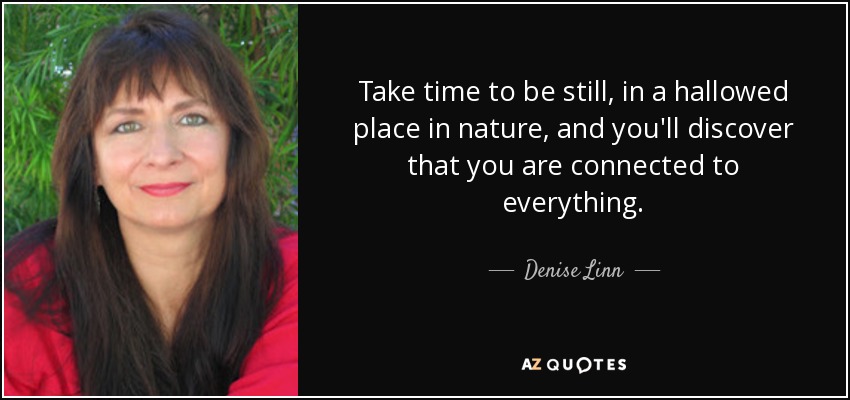 Take time to be still, in a hallowed place in nature, and you'll discover that you are connected to everything. - Denise Linn