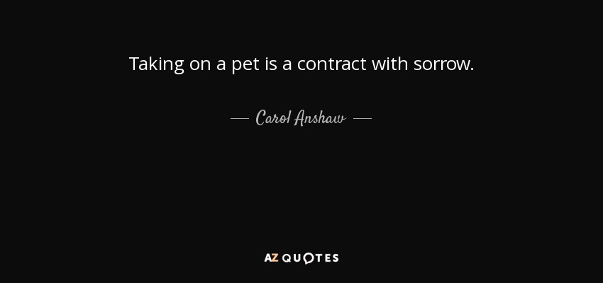 Taking on a pet is a contract with sorrow. - Carol Anshaw