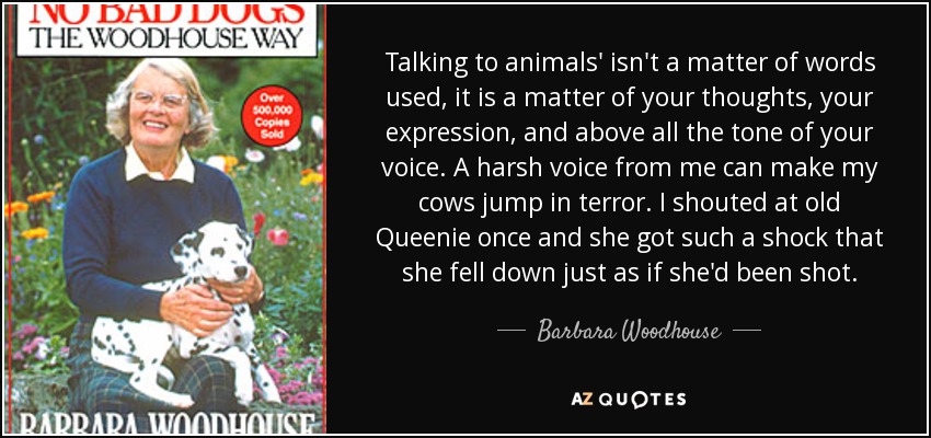 Talking to animals' isn't a matter of words used, it is a matter of your thoughts, your expression, and above all the tone of your voice. A harsh voice from me can make my cows jump in terror. I shouted at old Queenie once and she got such a shock that she fell down just as if she'd been shot. - Barbara Woodhouse