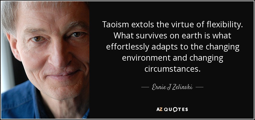 Taoism extols the virtue of flexibility. What survives on earth is what effortlessly adapts to the changing environment and changing circumstances. - Ernie J Zelinski