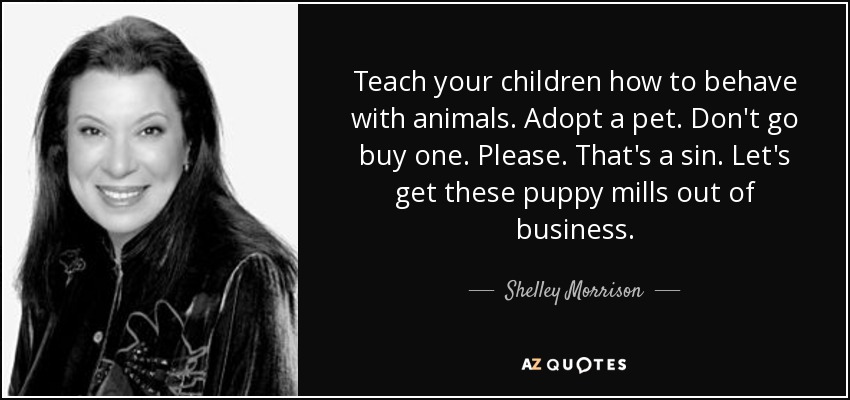 Teach your children how to behave with animals. Adopt a pet. Don't go buy one. Please. That's a sin. Let's get these puppy mills out of business. - Shelley Morrison