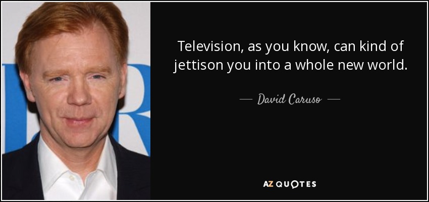 Television, as you know, can kind of jettison you into a whole new world. - David Caruso