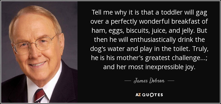 Tell me why it is that a toddler will gag over a perfectly wonderful breakfast of ham, eggs, biscuits, juice, and jelly. But then he will enthusiastically drink the dog's water and play in the toilet. Truly, he is his mother's greatest challenge...; and her most inexpressible joy. - James Dobson