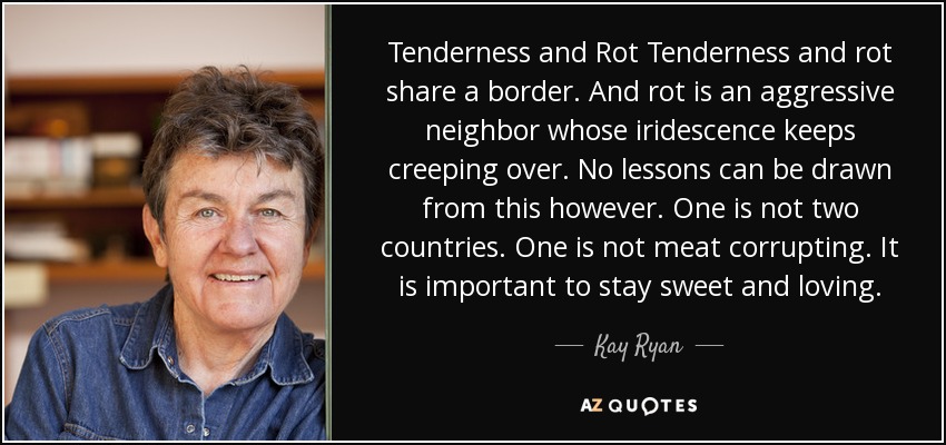Tenderness and Rot Tenderness and rot share a border. And rot is an aggressive neighbor whose iridescence keeps creeping over. No lessons can be drawn from this however. One is not two countries. One is not meat corrupting. It is important to stay sweet and loving. - Kay Ryan