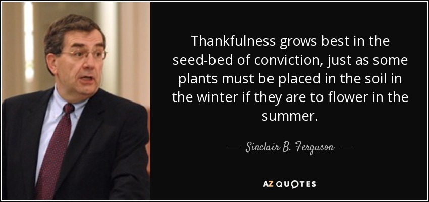 Thankfulness grows best in the seed-bed of conviction, just as some plants must be placed in the soil in the winter if they are to flower in the summer. - Sinclair B. Ferguson