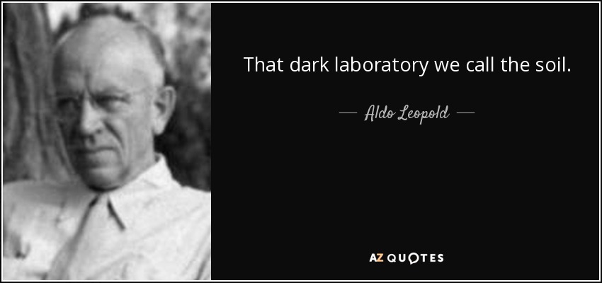 That dark laboratory we call the soil. - Aldo Leopold