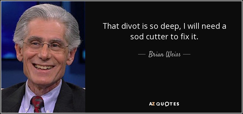 That divot is so deep, I will need a sod cutter to fix it. - Brian Weiss