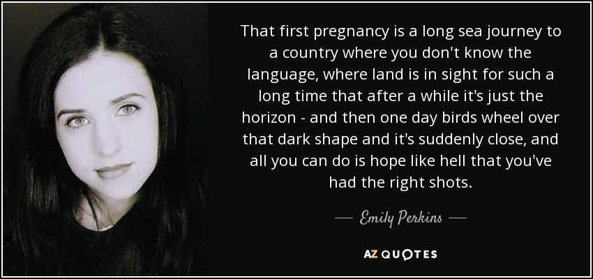 That first pregnancy is a long sea journey to a country where you don't know the language, where land is in sight for such a long time that after a while it's just the horizon - and then one day birds wheel over that dark shape and it's suddenly close, and all you can do is hope like hell that you've had the right shots. - Emily Perkins