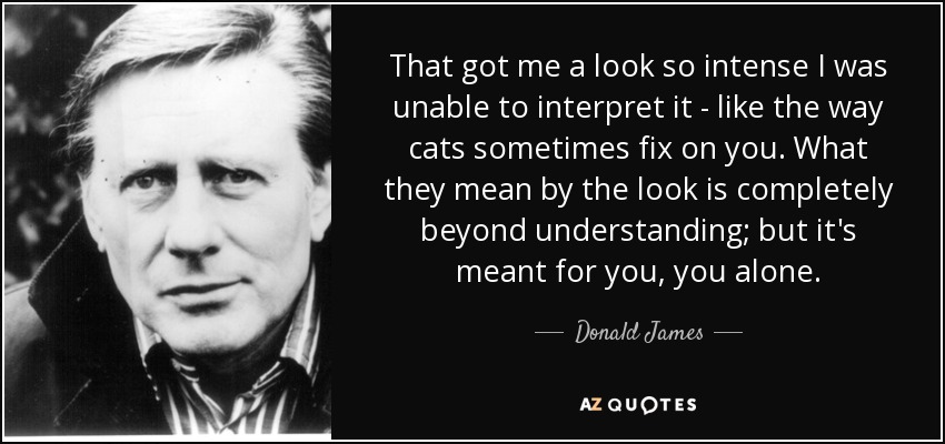 That got me a look so intense I was unable to interpret it - like the way cats sometimes fix on you. What they mean by the look is completely beyond understanding; but it's meant for you, you alone. - Donald James