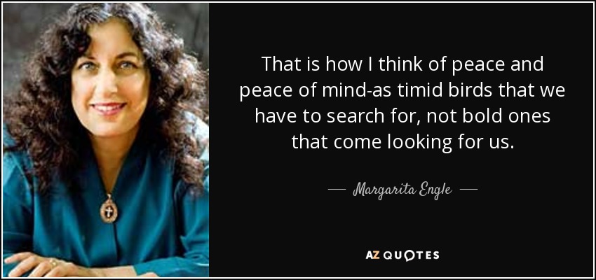 That is how I think of peace and peace of mind-as timid birds that we have to search for, not bold ones that come looking for us. - Margarita Engle