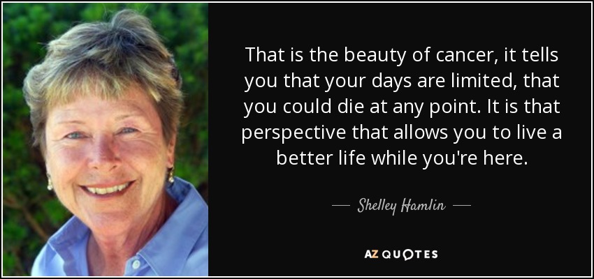 That is the beauty of cancer, it tells you that your days are limited, that you could die at any point. It is that perspective that allows you to live a better life while you're here. - Shelley Hamlin