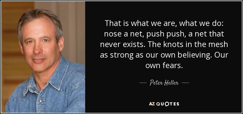That is what we are, what we do: nose a net, push push, a net that never exists. The knots in the mesh as strong as our own believing. Our own fears. - Peter Heller