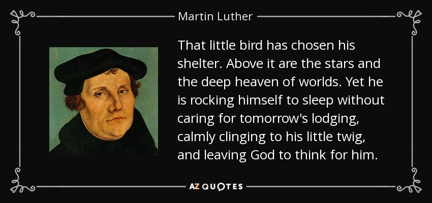 That little bird has chosen his shelter. Above it are the stars and the deep heaven of worlds. Yet he is rocking himself to sleep without caring for tomorrow's lodging, calmly clinging to his little twig, and leaving God to think for him. - Martin Luther