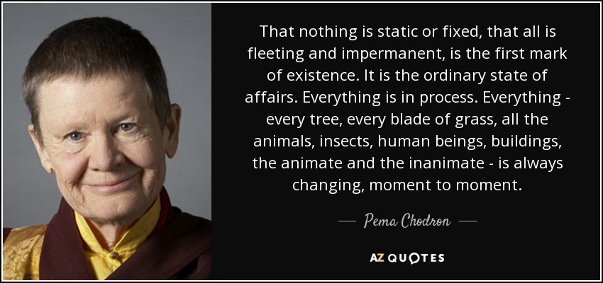 That nothing is static or fixed, that all is fleeting and impermanent, is the first mark of existence. It is the ordinary state of affairs. Everything is in process. Everything - every tree, every blade of grass, all the animals, insects, human beings, buildings, the animate and the inanimate - is always changing, moment to moment. - Pema Chodron