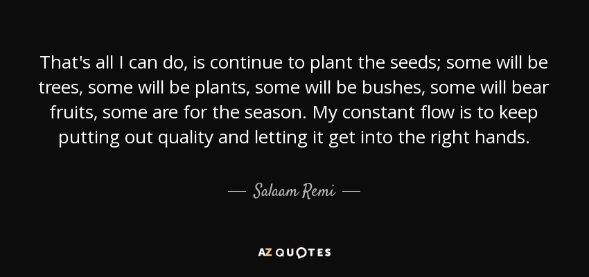 That's all I can do, is continue to plant the seeds; some will be trees, some will be plants, some will be bushes, some will bear fruits, some are for the season. My constant flow is to keep putting out quality and letting it get into the right hands. - Salaam Remi