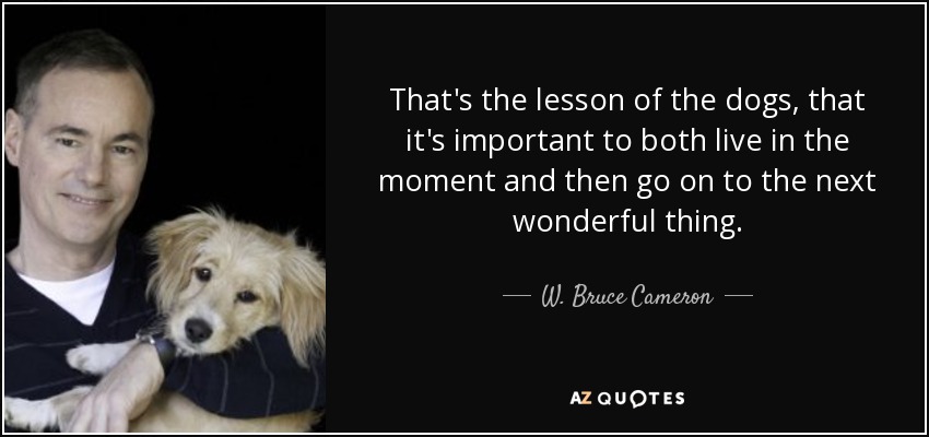 That's the lesson of the dogs, that it's important to both live in the moment and then go on to the next wonderful thing. - W. Bruce Cameron