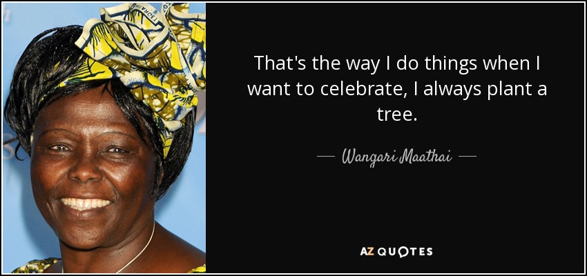That's the way I do things when I want to celebrate, I always plant a tree. - Wangari Maathai