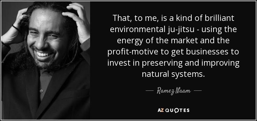 That, to me, is a kind of brilliant environmental ju-jitsu - using the energy of the market and the profit-motive to get businesses to invest in preserving and improving natural systems. - Ramez Naam