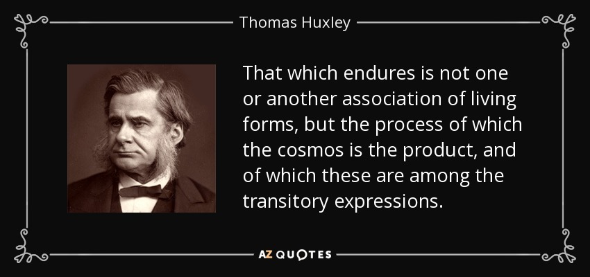 That which endures is not one or another association of living forms, but the process of which the cosmos is the product, and of which these are among the transitory expressions. - Thomas Huxley