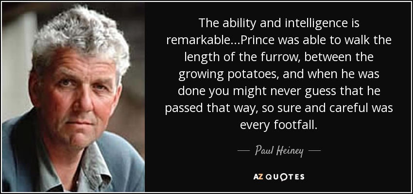 The ability and intelligence is remarkable...Prince was able to walk the length of the furrow, between the growing potatoes, and when he was done you might never guess that he passed that way, so sure and careful was every footfall. - Paul Heiney