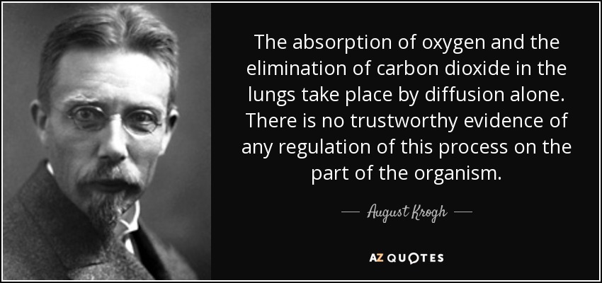 The absorption of oxygen and the elimination of carbon dioxide in the lungs take place by diffusion alone. There is no trustworthy evidence of any regulation of this process on the part of the organism. - August Krogh