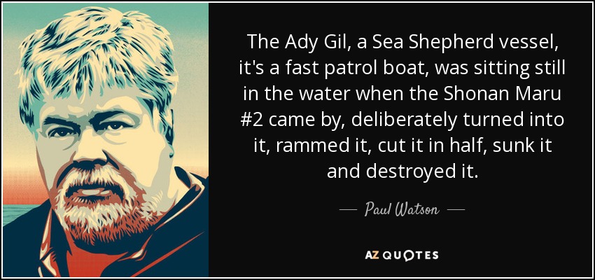 The Ady Gil, a Sea Shepherd vessel, it's a fast patrol boat, was sitting still in the water when the Shonan Maru #2 came by, deliberately turned into it, rammed it, cut it in half, sunk it and destroyed it. - Paul Watson