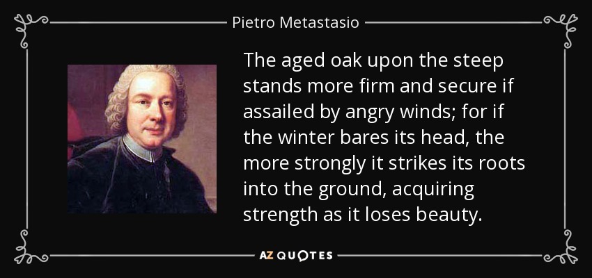 The aged oak upon the steep stands more firm and secure if assailed by angry winds; for if the winter bares its head, the more strongly it strikes its roots into the ground, acquiring strength as it loses beauty. - Pietro Metastasio