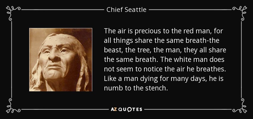 The air is precious to the red man, for all things share the same breath-the beast, the tree, the man, they all share the same breath. The white man does not seem to notice the air he breathes. Like a man dying for many days, he is numb to the stench. - Chief Seattle