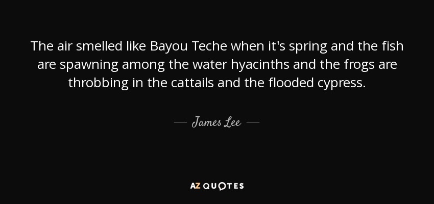 The air smelled like Bayou Teche when it's spring and the fish are spawning among the water hyacinths and the frogs are throbbing in the cattails and the flooded cypress. - James Lee