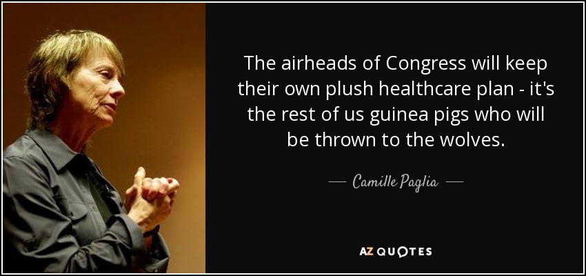 The airheads of Congress will keep their own plush healthcare plan - it's the rest of us guinea pigs who will be thrown to the wolves. - Camille Paglia