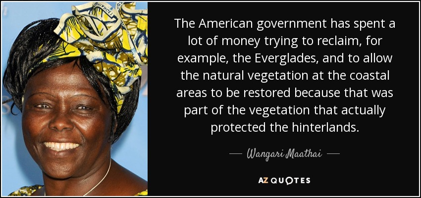 The American government has spent a lot of money trying to reclaim, for example, the Everglades, and to allow the natural vegetation at the coastal areas to be restored because that was part of the vegetation that actually protected the hinterlands. - Wangari Maathai