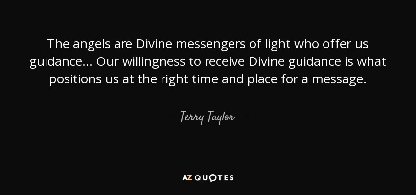 The angels are Divine messengers of light who offer us guidance... Our willingness to receive Divine guidance is what positions us at the right time and place for a message. - Terry Taylor