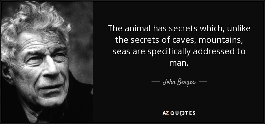 The animal has secrets which, unlike the secrets of caves, mountains, seas are specifically addressed to man. - John Berger