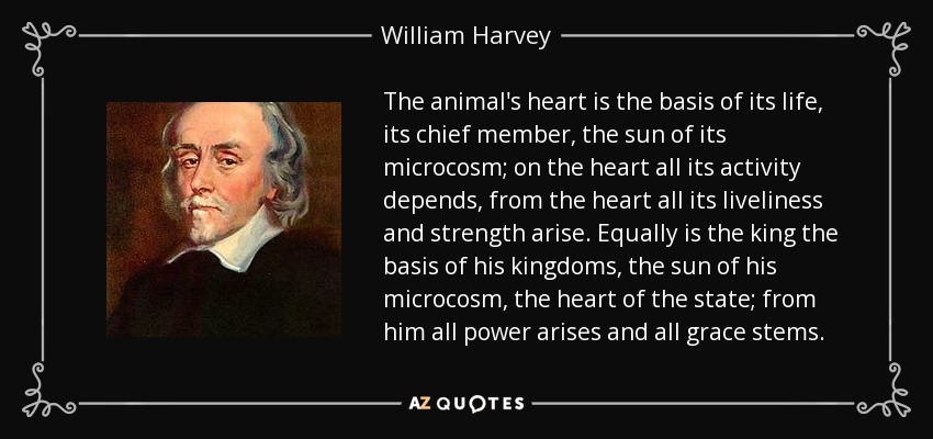 The animal's heart is the basis of its life, its chief member, the sun of its microcosm; on the heart all its activity depends, from the heart all its liveliness and strength arise. Equally is the king the basis of his kingdoms, the sun of his microcosm, the heart of the state; from him all power arises and all grace stems. - William Harvey