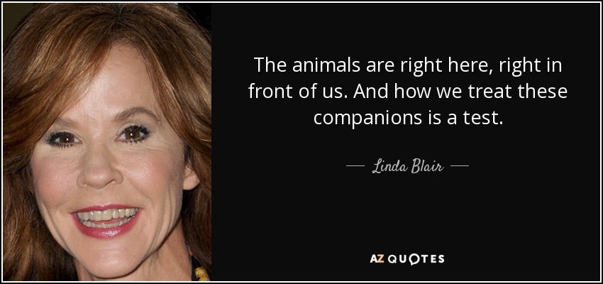The animals are right here, right in front of us. And how we treat these companions is a test. - Linda Blair