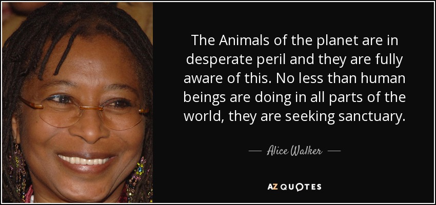 The Animals of the planet are in desperate peril and they are fully aware of this. No less than human beings are doing in all parts of the world, they are seeking sanctuary. - Alice Walker