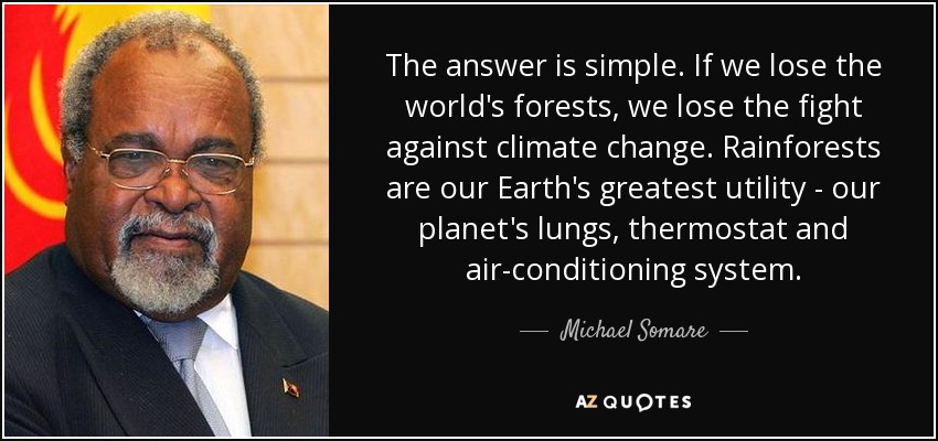 The answer is simple. If we lose the world's forests, we lose the fight against climate change. Rainforests are our Earth's greatest utility - our planet's lungs, thermostat and air-conditioning system. - Michael Somare