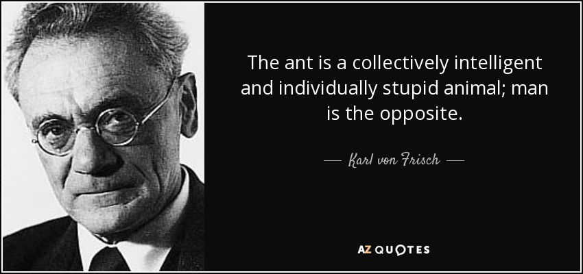 The ant is a collectively intelligent and individually stupid animal; man is the opposite. - Karl von Frisch