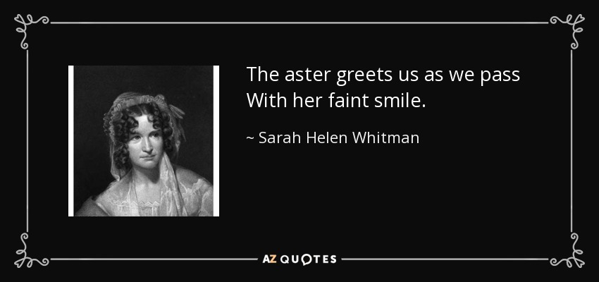 The aster greets us as we pass With her faint smile. - Sarah Helen Whitman
