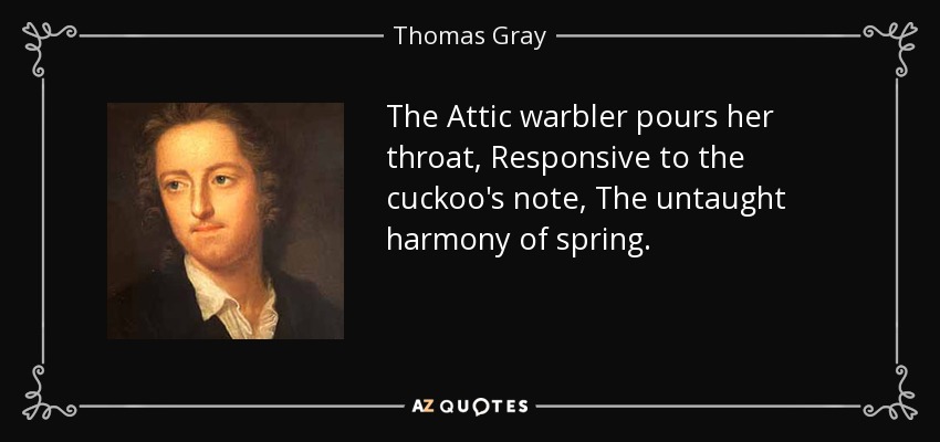The Attic warbler pours her throat, Responsive to the cuckoo's note, The untaught harmony of spring. - Thomas Gray
