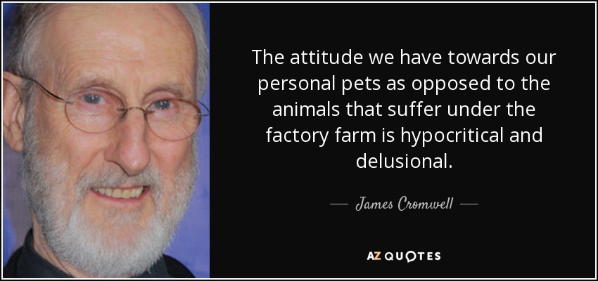 The attitude we have towards our personal pets as opposed to the animals that suffer under the factory farm is hypocritical and delusional. - James Cromwell