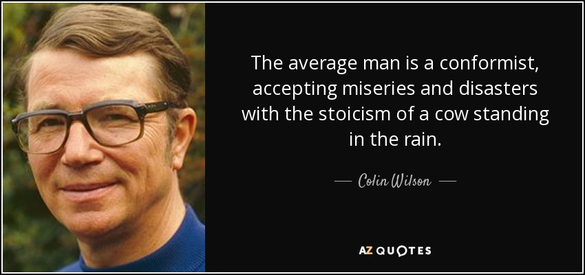 The average man is a conformist, accepting miseries and disasters with the stoicism of a cow standing in the rain. - Colin Wilson