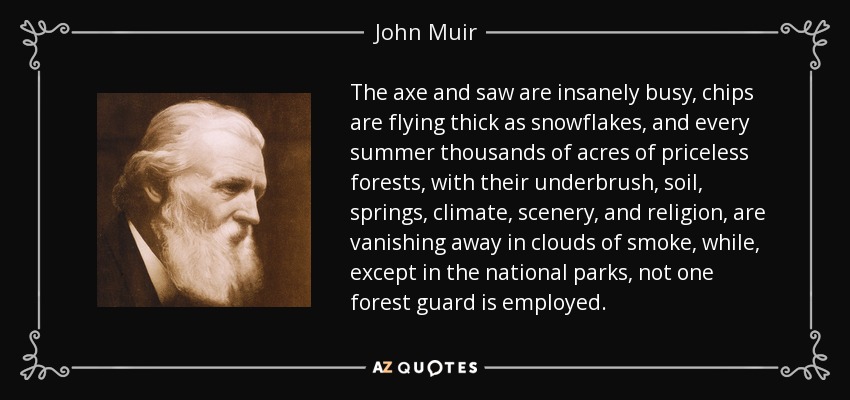 The axe and saw are insanely busy, chips are flying thick as snowflakes, and every summer thousands of acres of priceless forests, with their underbrush, soil, springs, climate, scenery, and religion, are vanishing away in clouds of smoke, while, except in the national parks, not one forest guard is employed. - John Muir