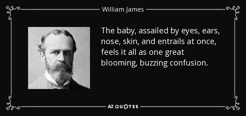 The baby, assailed by eyes, ears, nose, skin, and entrails at once, feels it all as one great blooming, buzzing confusion. - William James