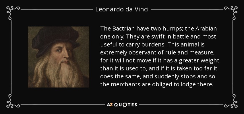 The Bactrian have two humps; the Arabian one only. They are swift in battle and most useful to carry burdens. This animal is extremely observant of rule and measure, for it will not move if it has a greater weight than it is used to, and if it is taken too far it does the same, and suddenly stops and so the merchants are obliged to lodge there. - Leonardo da Vinci