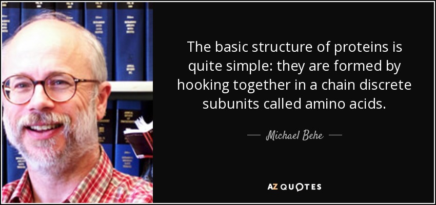 The basic structure of proteins is quite simple: they are formed by hooking together in a chain discrete subunits called amino acids. - Michael Behe